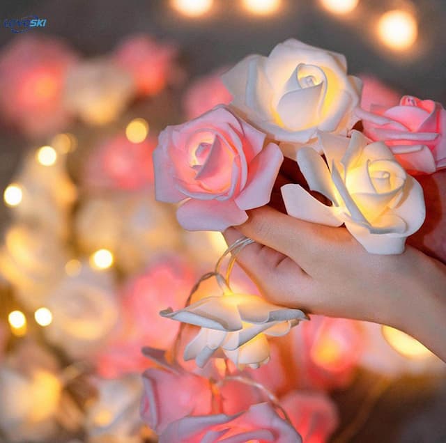Rose Fairy Light