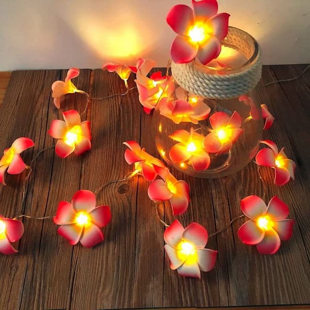 KathGulap Fairy Light