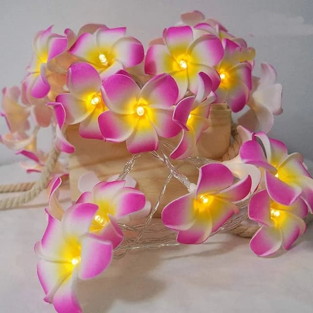 KathGulap Fairy Light