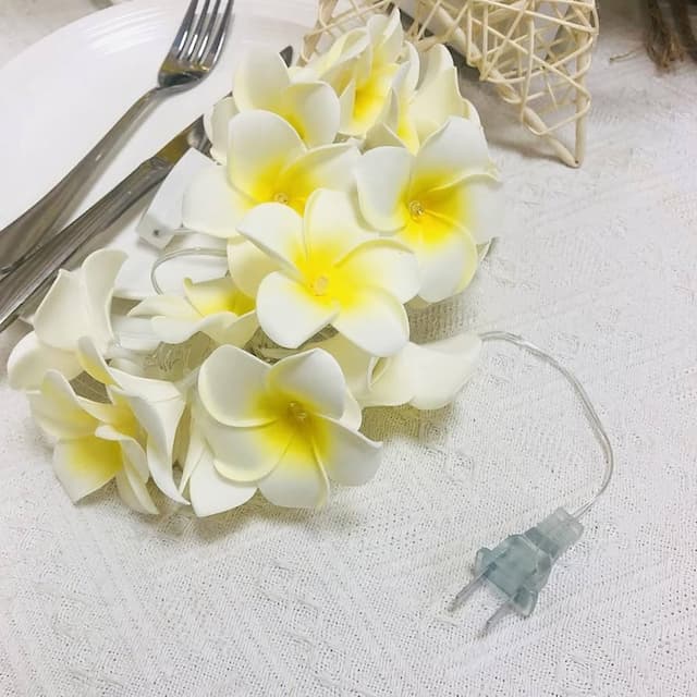 KathGulap Fairy Light