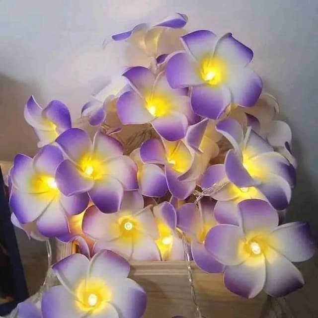 KathGulap Fairy Light