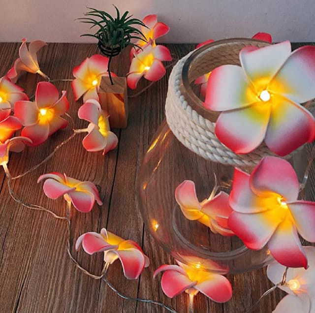KathGulap Fairy Light