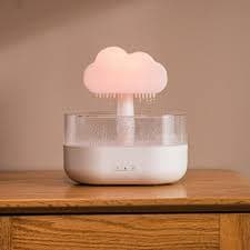 raindrop humidifier