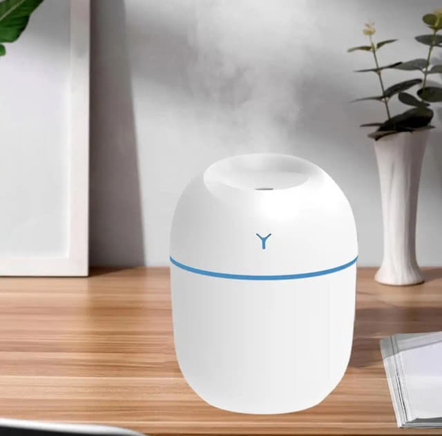 Mini Egg Humidifier