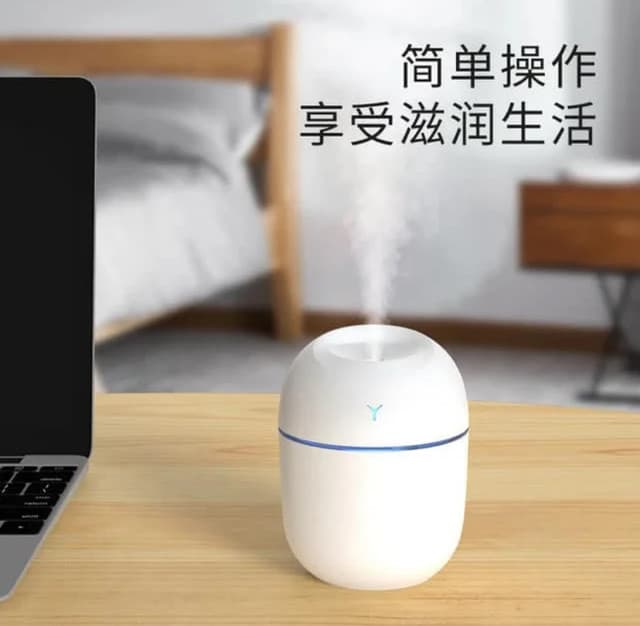 Mini Egg Humidifier